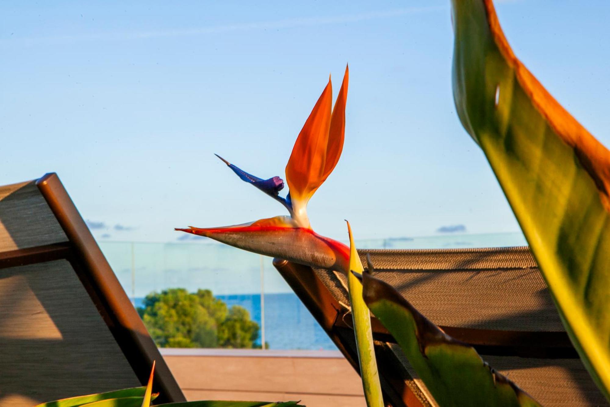 Albades Hotel & Spa (Adults Only) Benicassim Luaran gambar